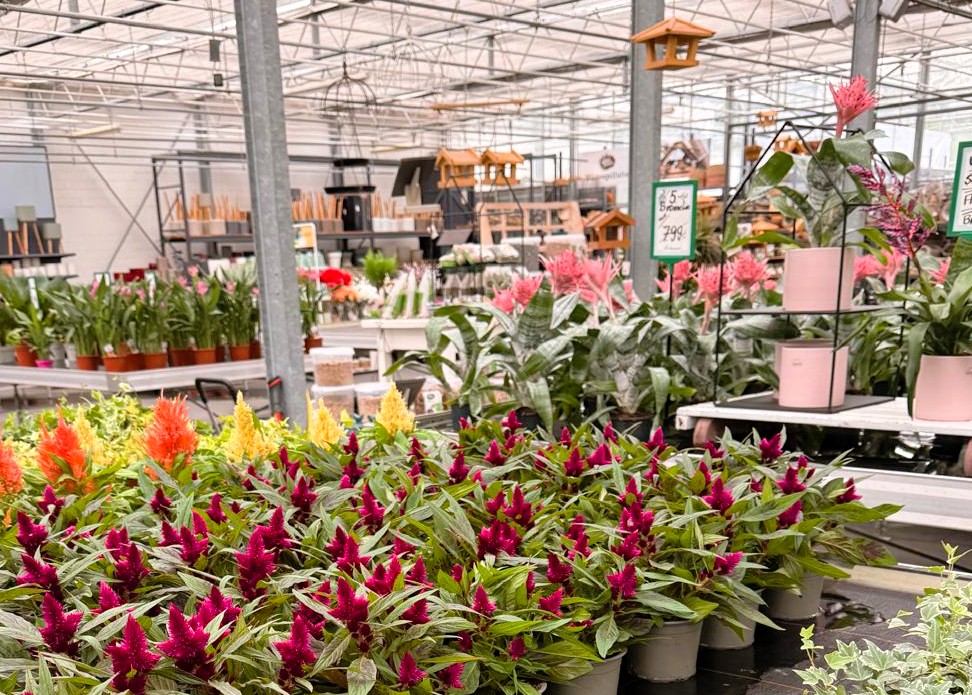 Monheimer Blumenmarkt